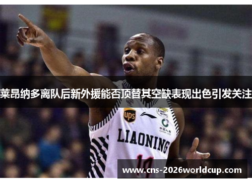 莱昂纳多离队后新外援能否顶替其空缺表现出色引发关注